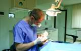 Endodontic dentistry